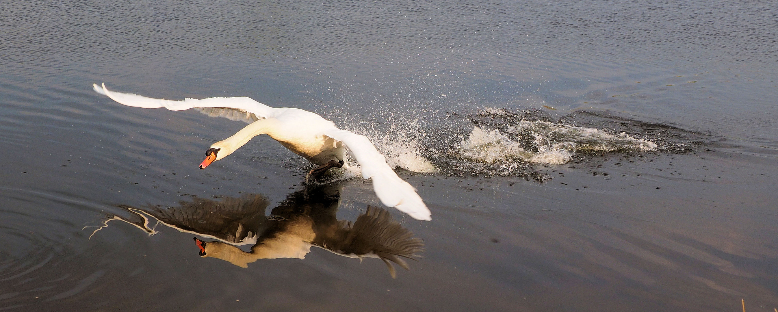 So morgen ist Abflug nach Hause …