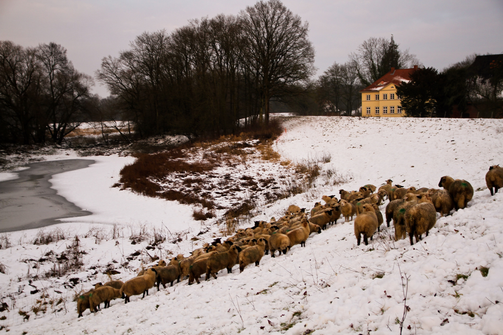 so mus der Winter sein, so mag ich ihn