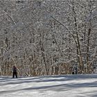 so muß der Winter sein