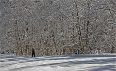 so muß der Winter sein