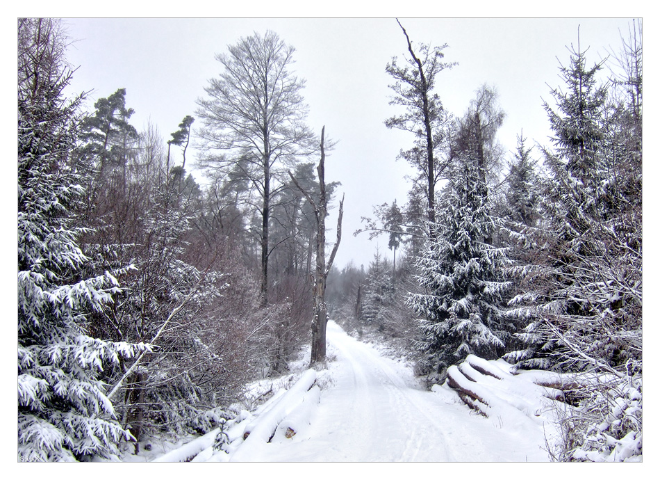 so muß der Winter sein...!