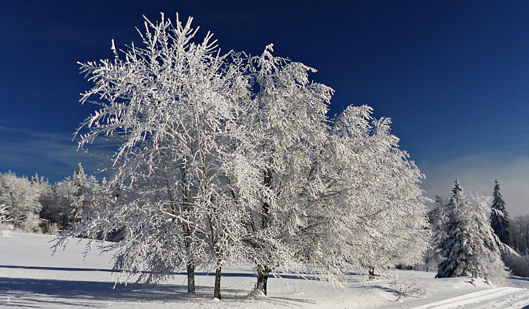 So muß ein Winter sein