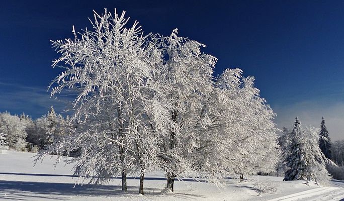 So muß ein Winter sein