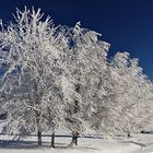 So muß ein Winter sein