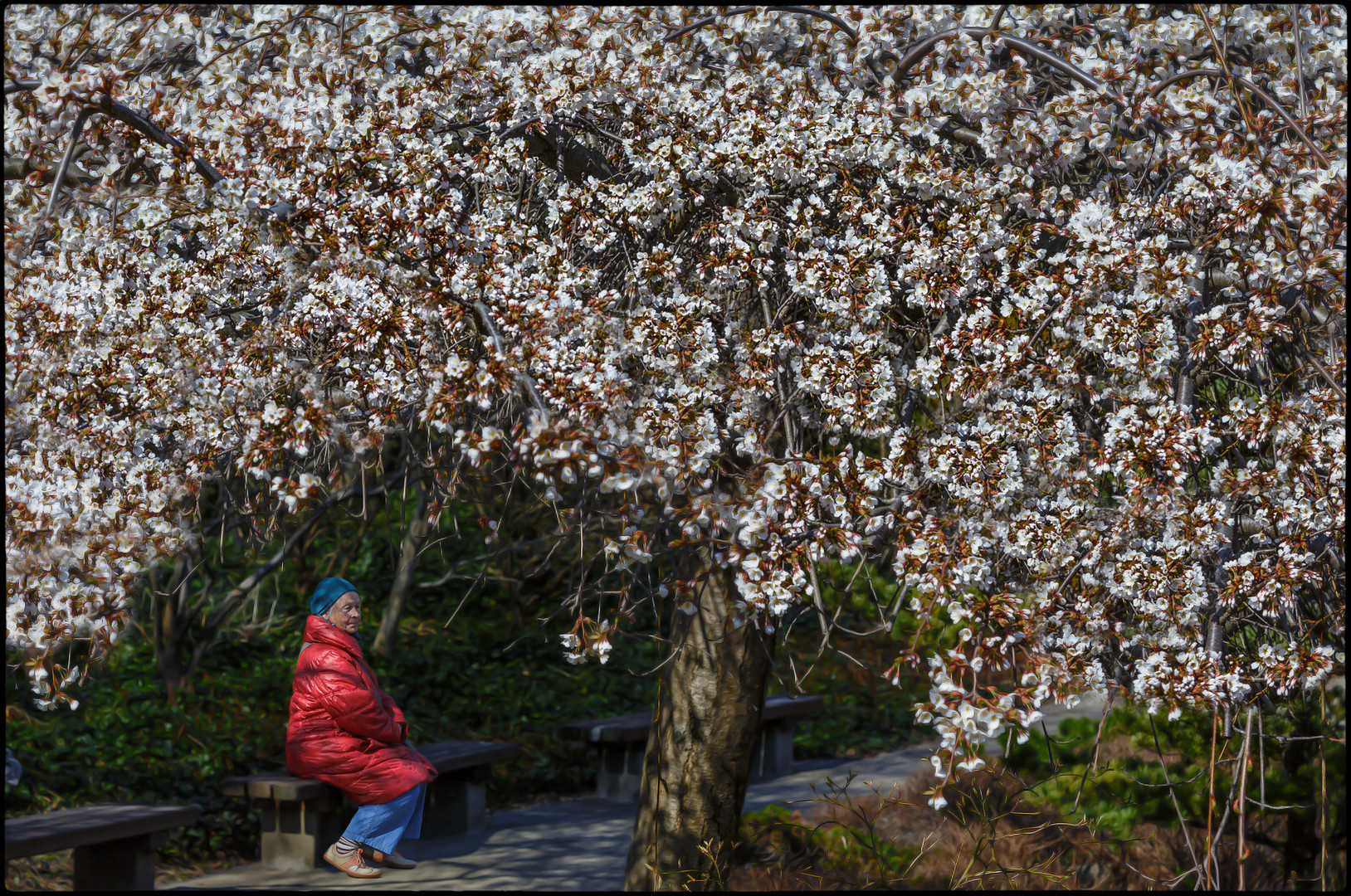 So muß Frühling..... ;o)