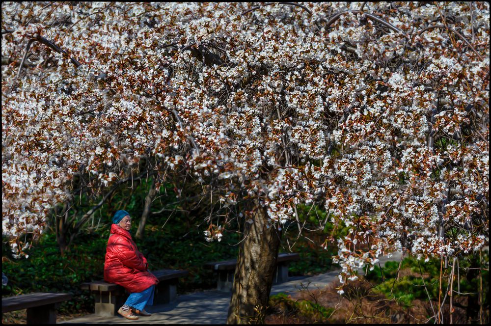 So muß Frühling..... ;o)