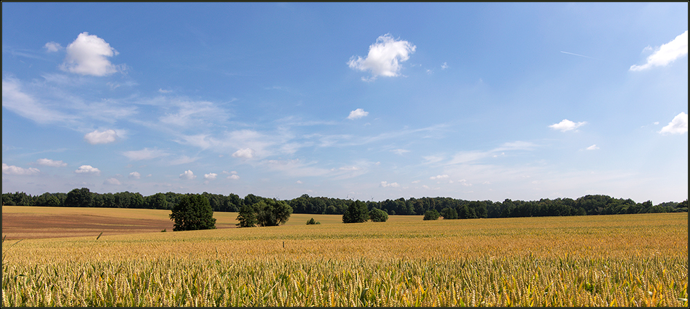 So muss Sommer sein