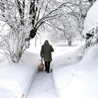 So muß Winter aussehen,...