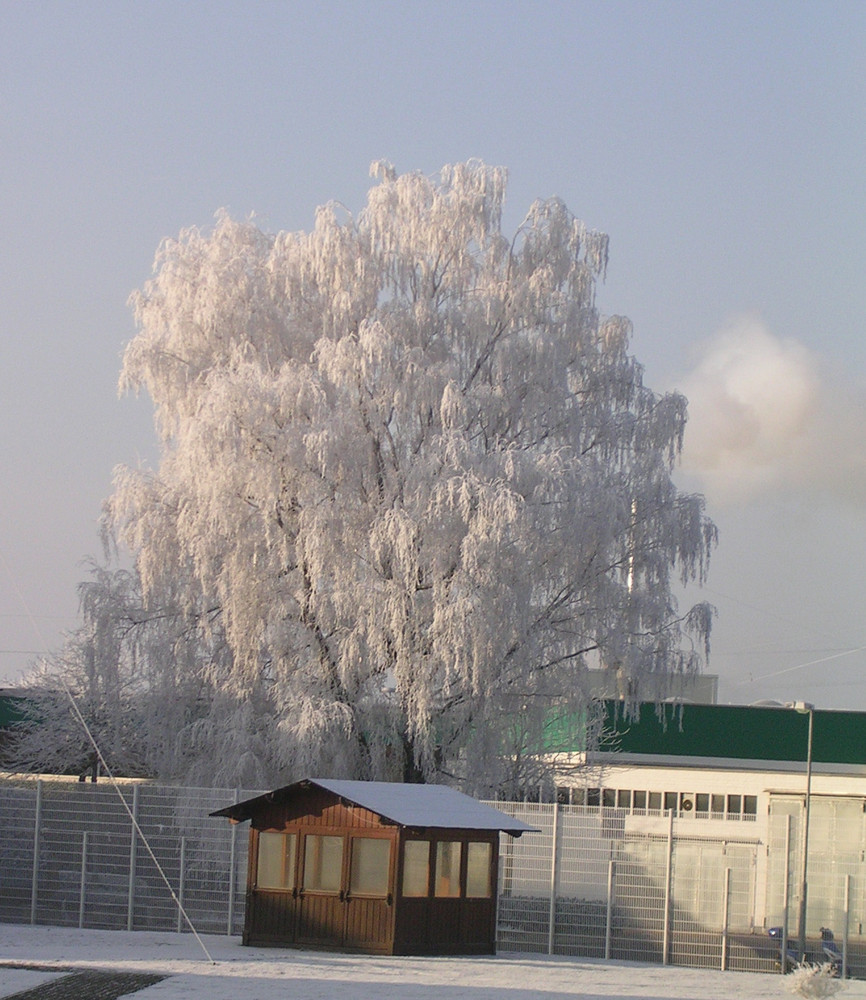 So muß Winter sein ;-)