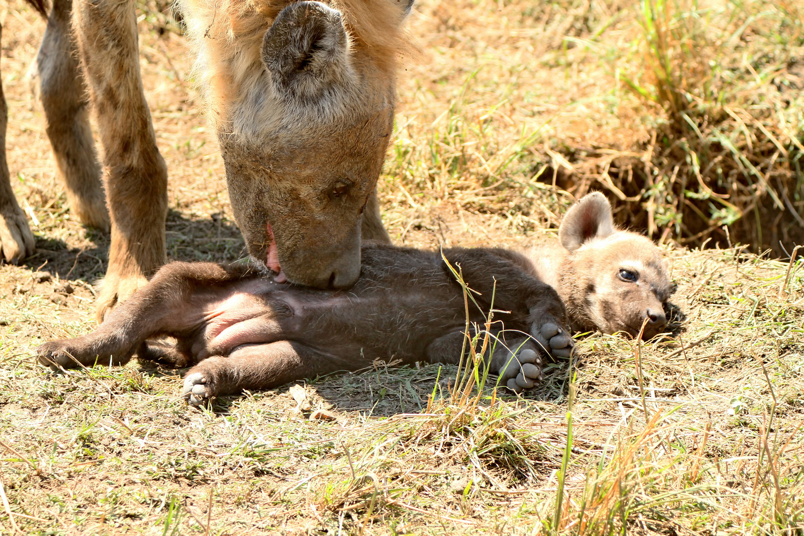 ...so ´ne Bauchmassage...