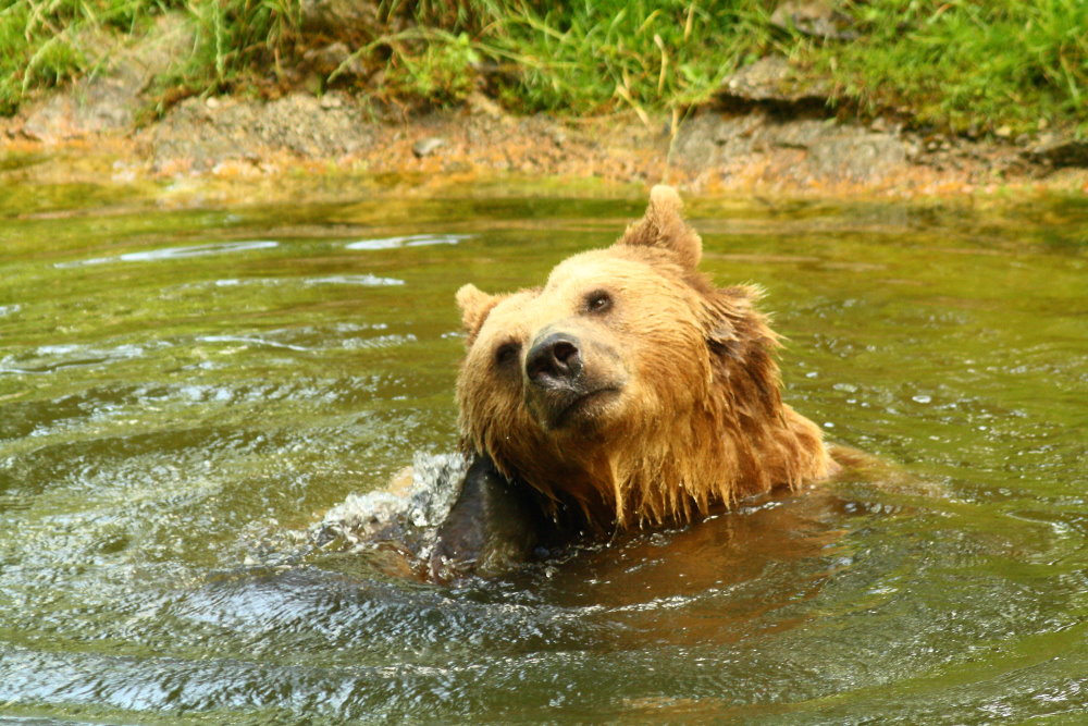 So, noch schnell hinter den Ohren waschen...