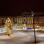 ***So nun steht nur noch der Weihnachtsbaum***