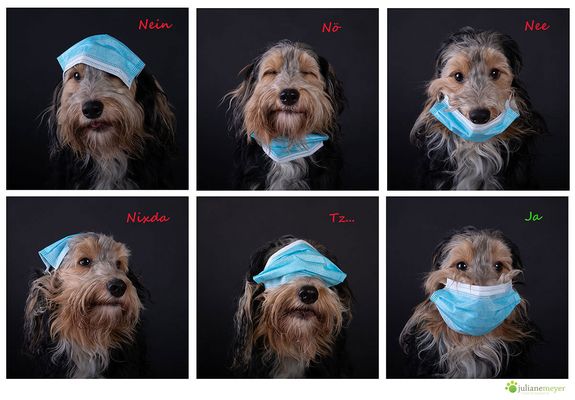 So, oder auch nicht.