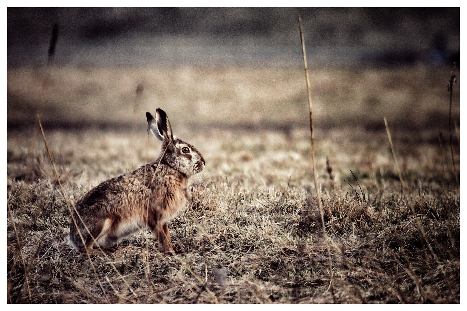 +++SO , OSTERN IST VORBEI+++