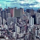 São Paulo: Urban Jungle