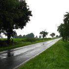 So plötzlich kann das Wetter im Mittelgebirge umschlagen ...