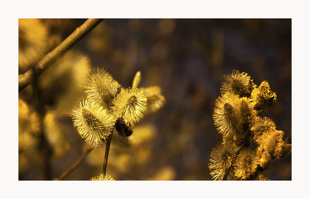 So richtig Frühling