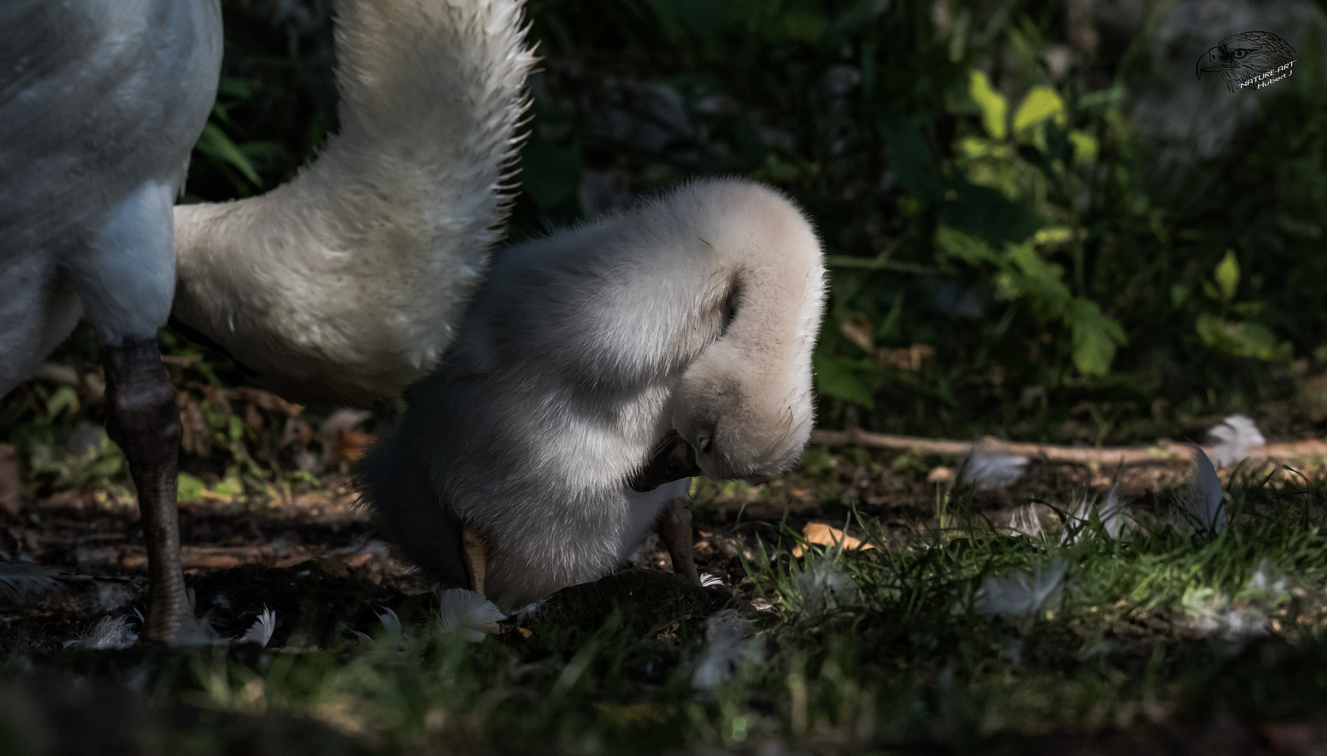 °°°So richtig Mamma°°°