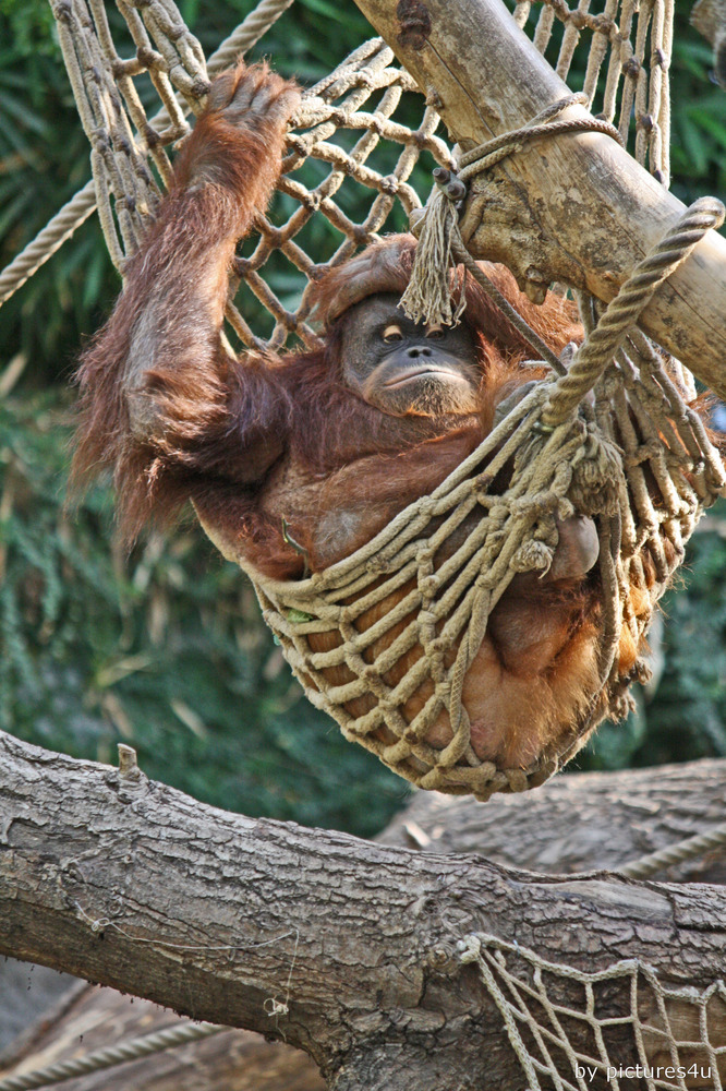 So, Ruhe es ist Siesta