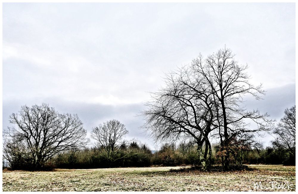 So sah es am Sonntag den 14 Januar bei uns hier aus Foto & Bild natur
