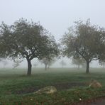 So sah es vor meiner Haustür heute morgen aus.