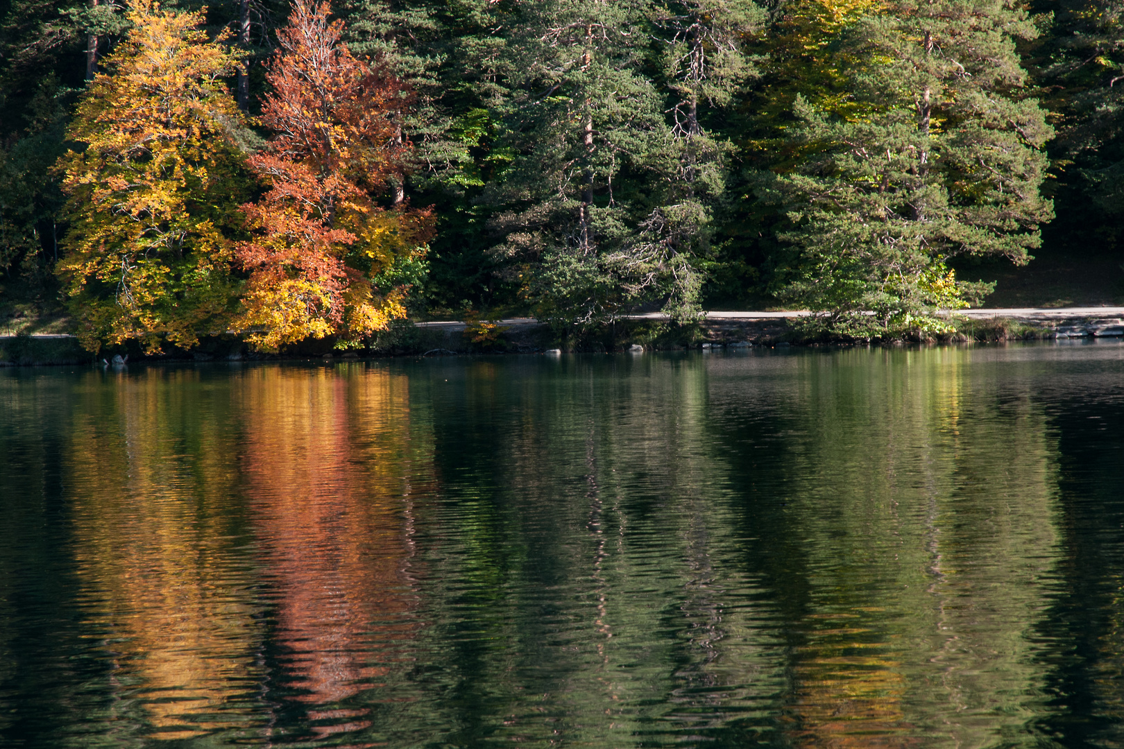 So schee ist im Herbst am Alatsee