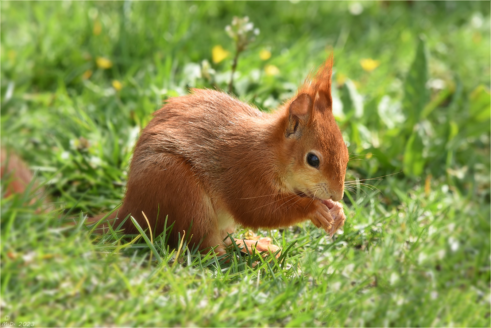 So schmeckt der Frühling ...