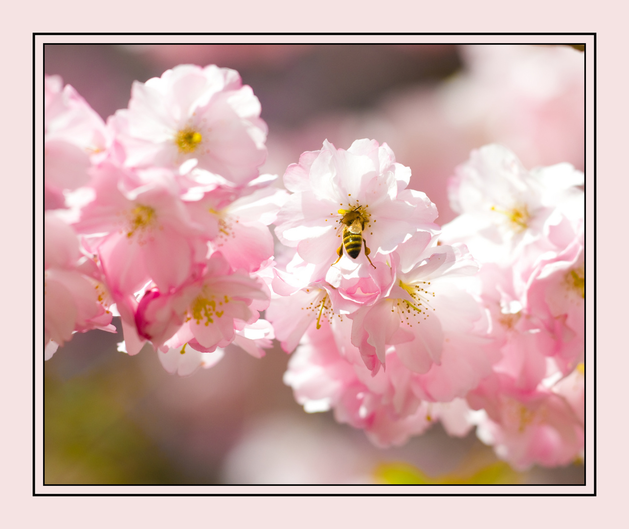 So schmeckt der Frühling....