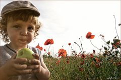 so schmeckt der Sommer