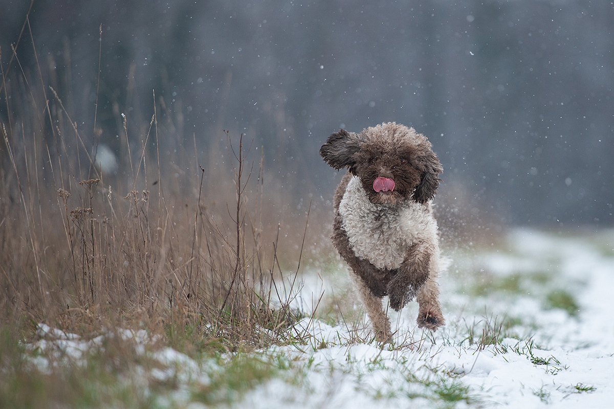 So schmeckt der Winter