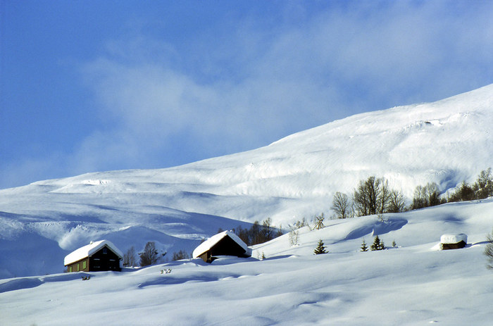 so schmeckt der Winter.....