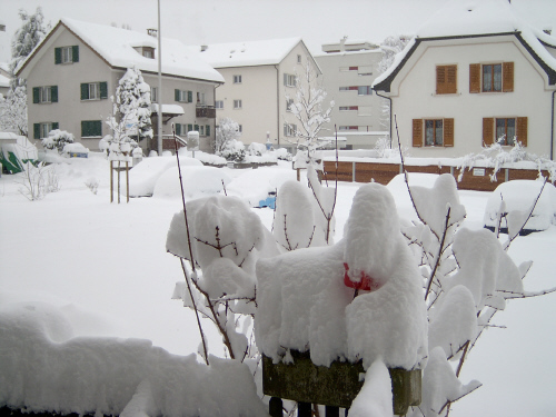 So schmeckt der Winter für mich