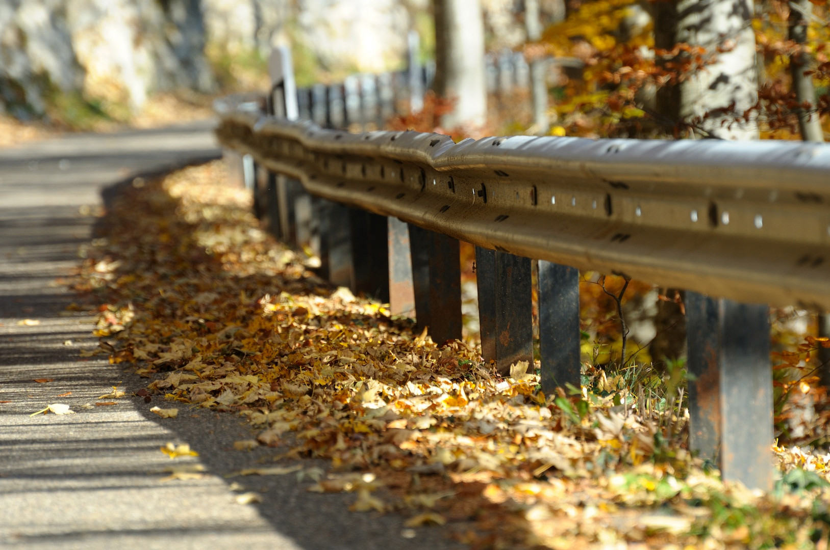 So schön der Herbst ist....könnte das Laub auf der Strasse ins Auge gehen...