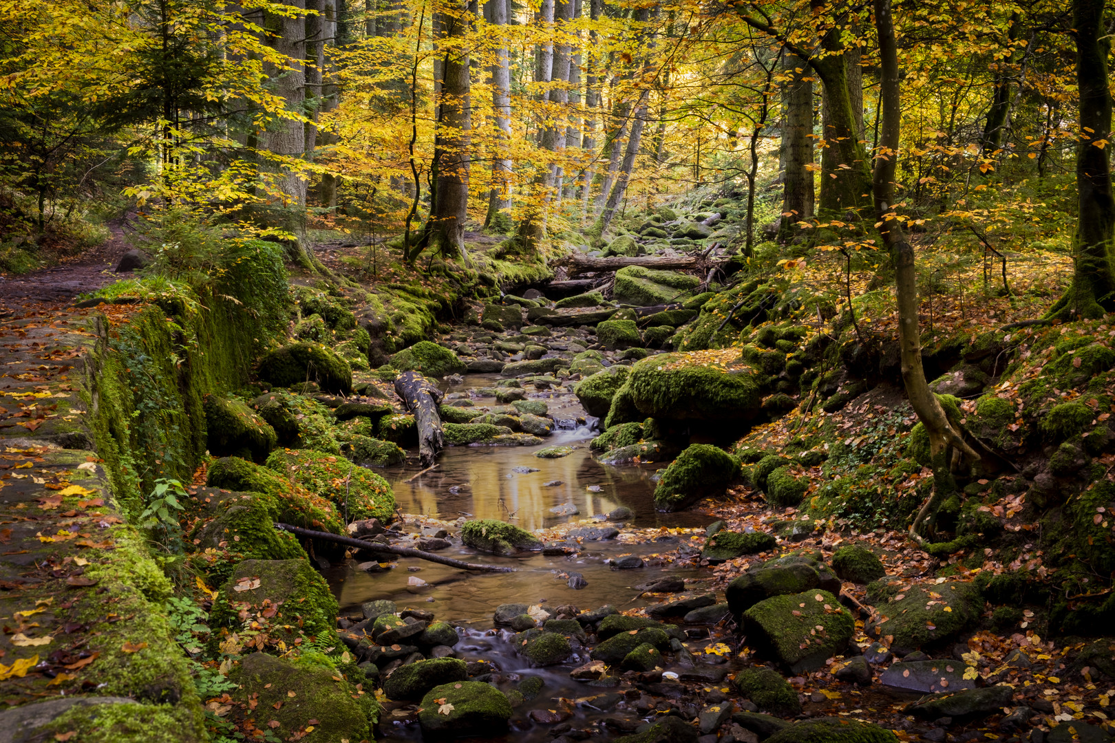 So schön ist das Monbachtal