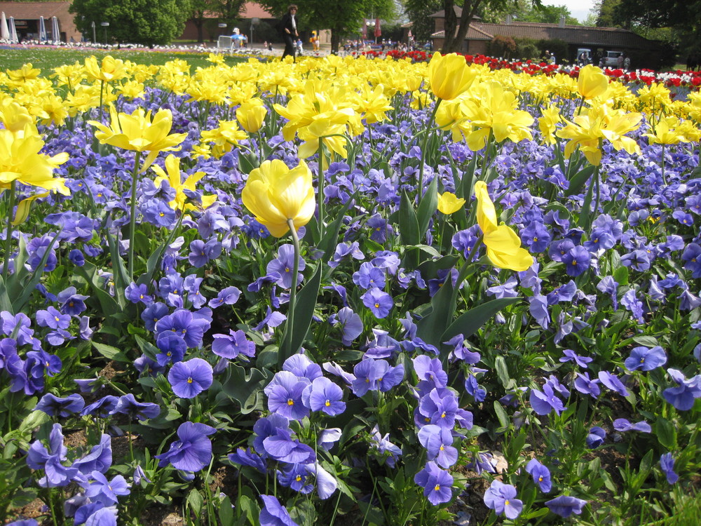 So schön ist der Frühling