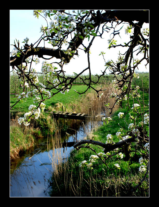 *So schön ist der Frühling...*