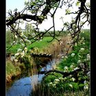 *So schön ist der Frühling...*