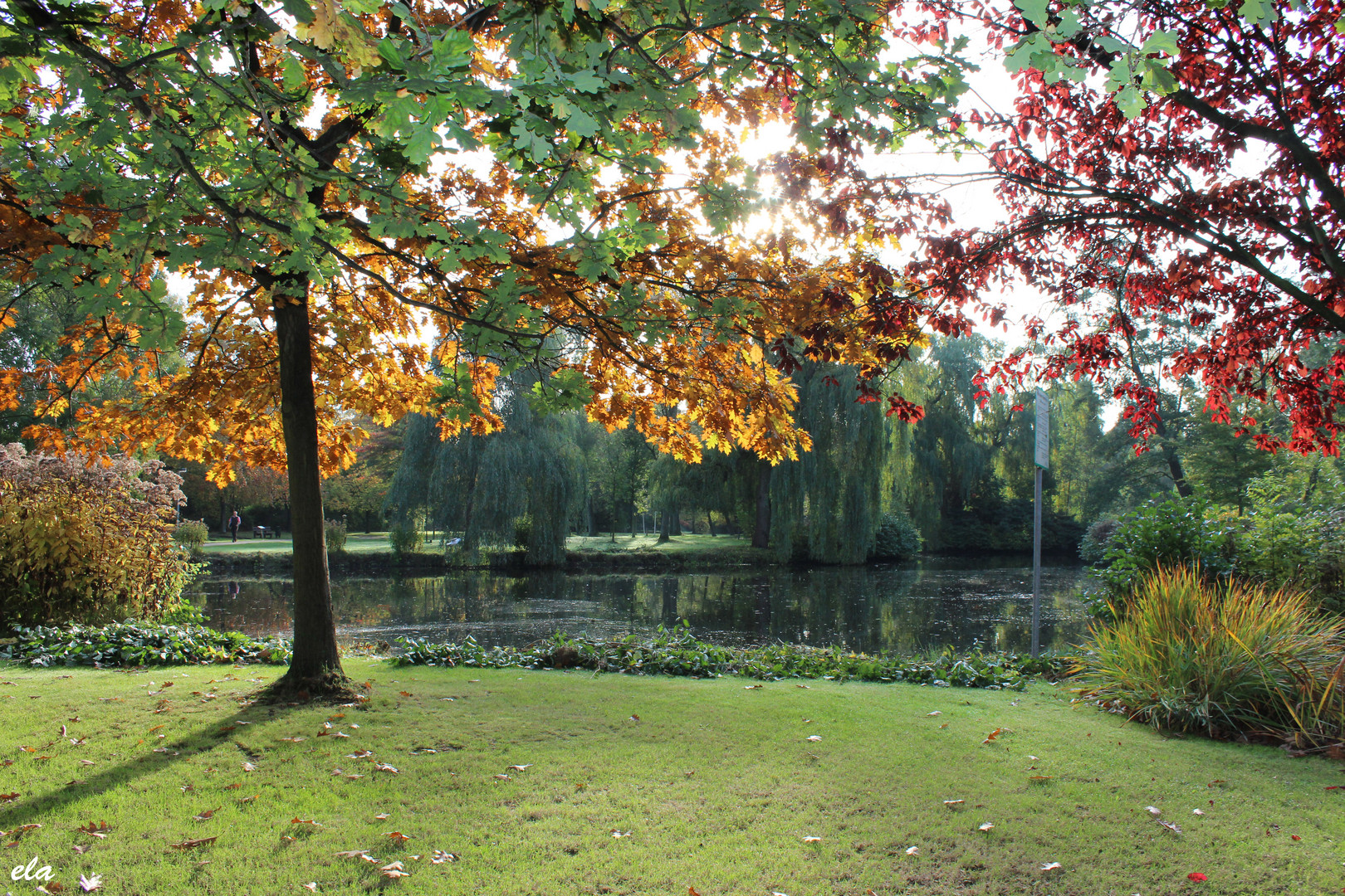 So schön ist der Herbst