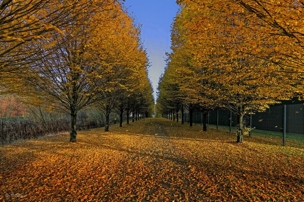 So schön ist der Herbst