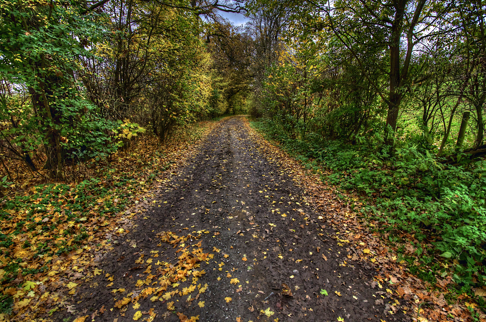 so schön ist der Herbst