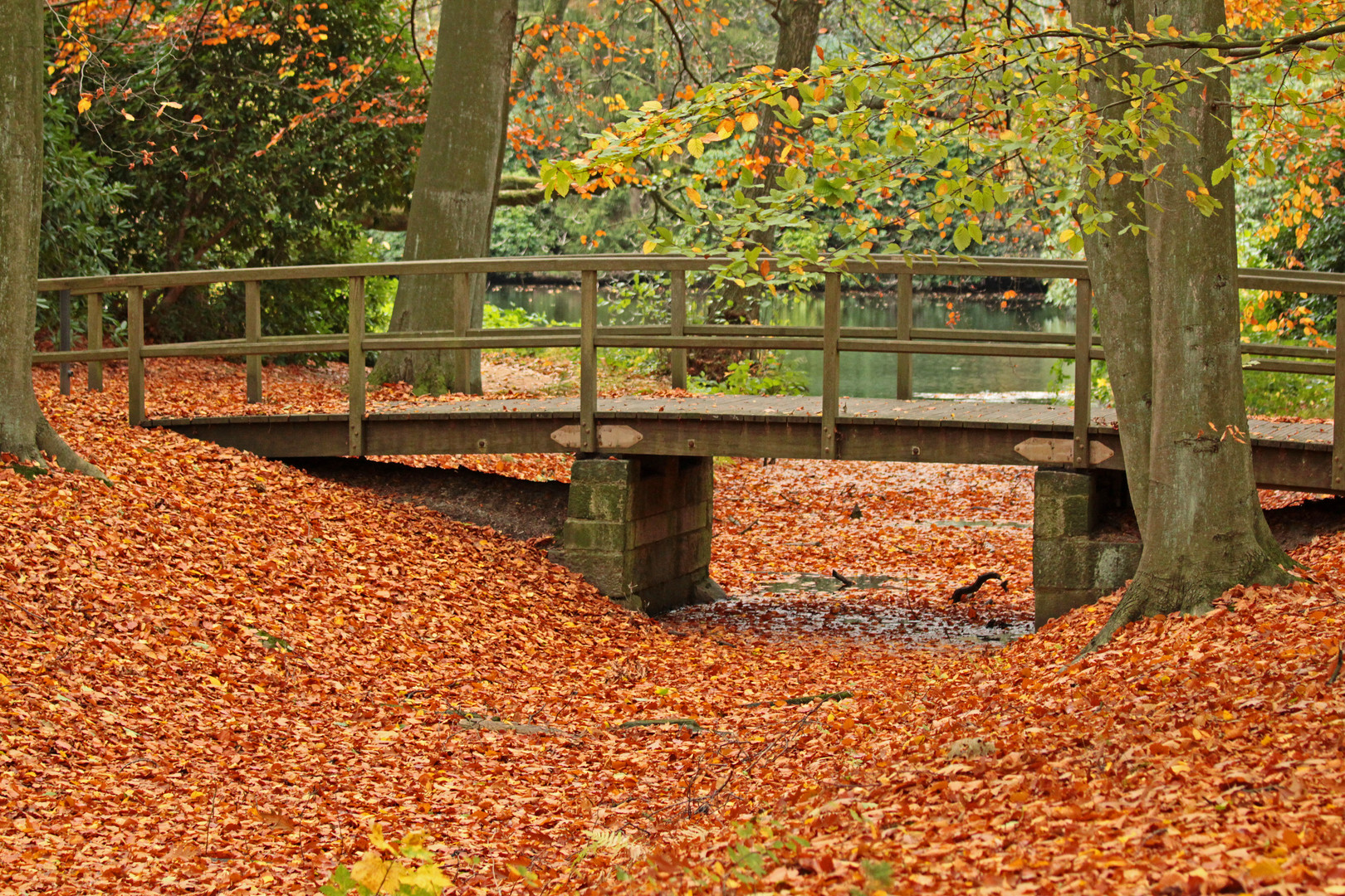 So schön ist der Herbst