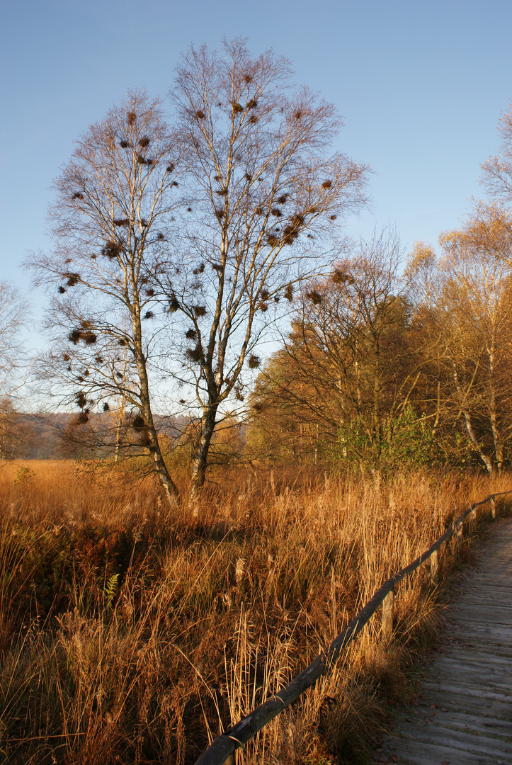 So schön ist der Herbst auf der Alb