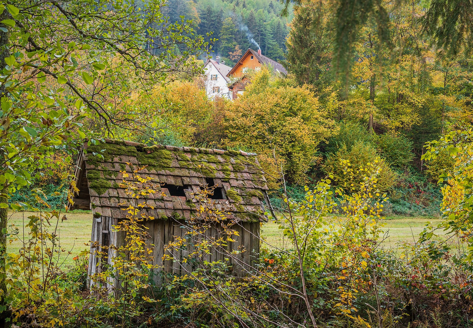 So schön ist der Herbst