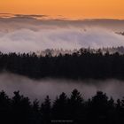 So schön ist der Schwarzwald im Winter