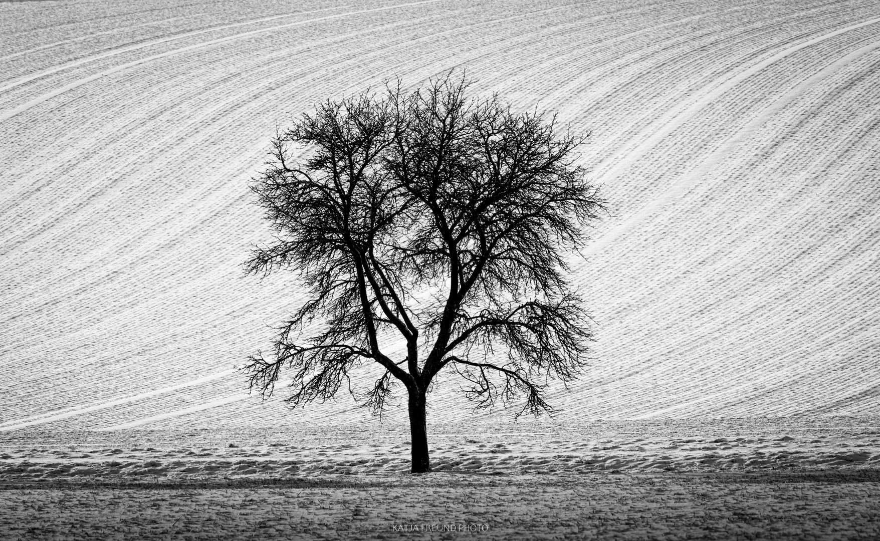 So schön ist der Schwarzwald im Winter