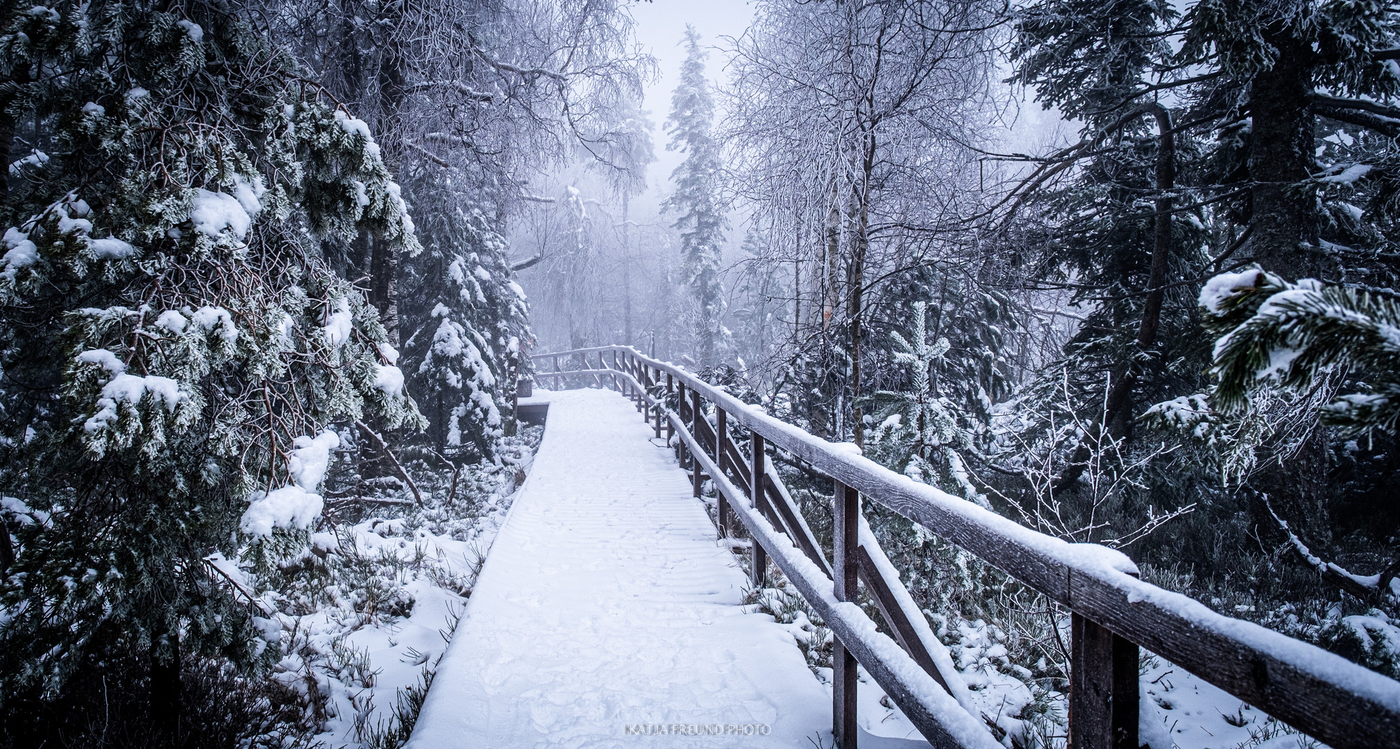 So schön ist der Schwarzwald im Winter