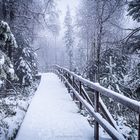 So schön ist der Schwarzwald im Winter