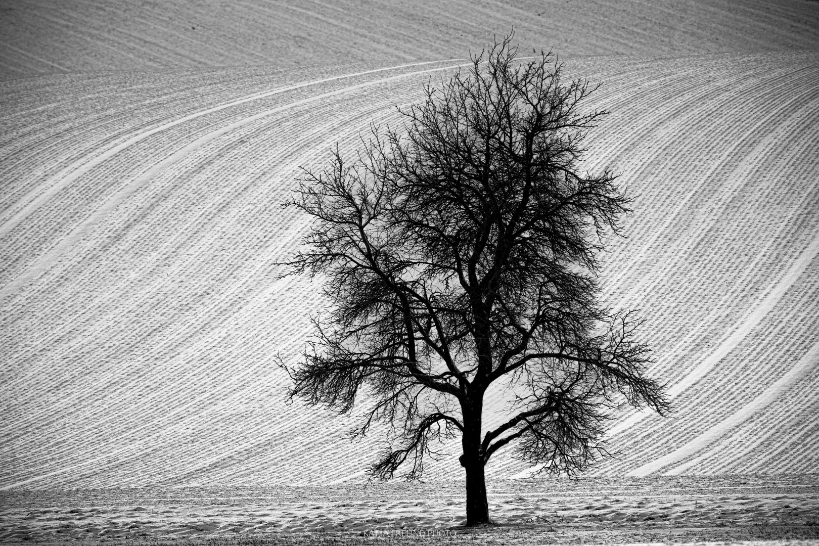 So schön ist der Schwarzwald im Winter