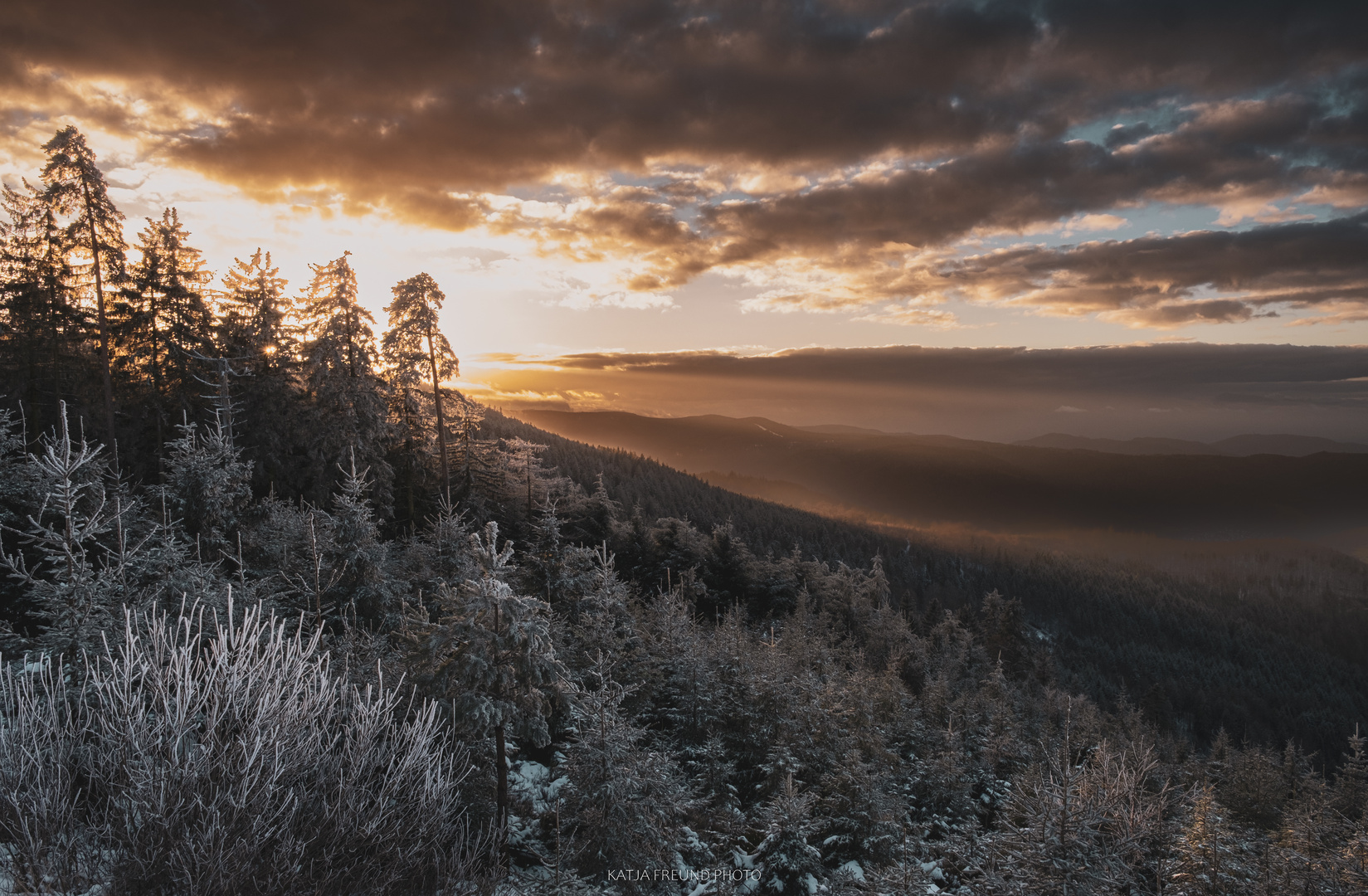 So schön ist der Schwarzwald im Winter