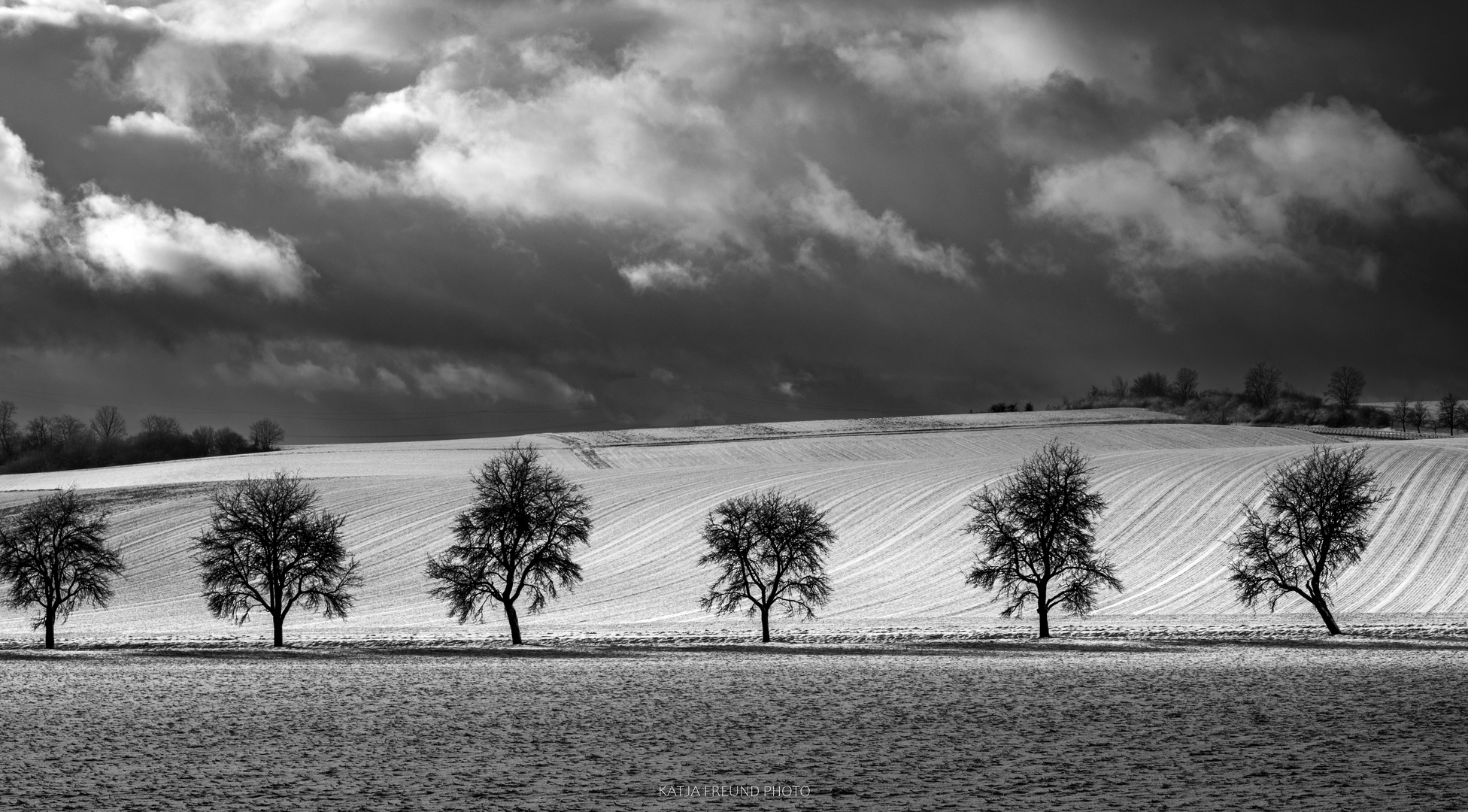 So schön ist der Schwarzwald im Winter